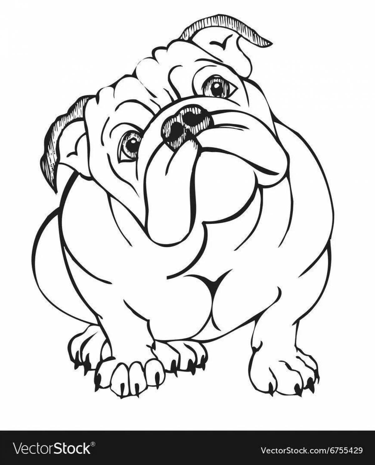 Coloring book inquisitive bulldog for kids