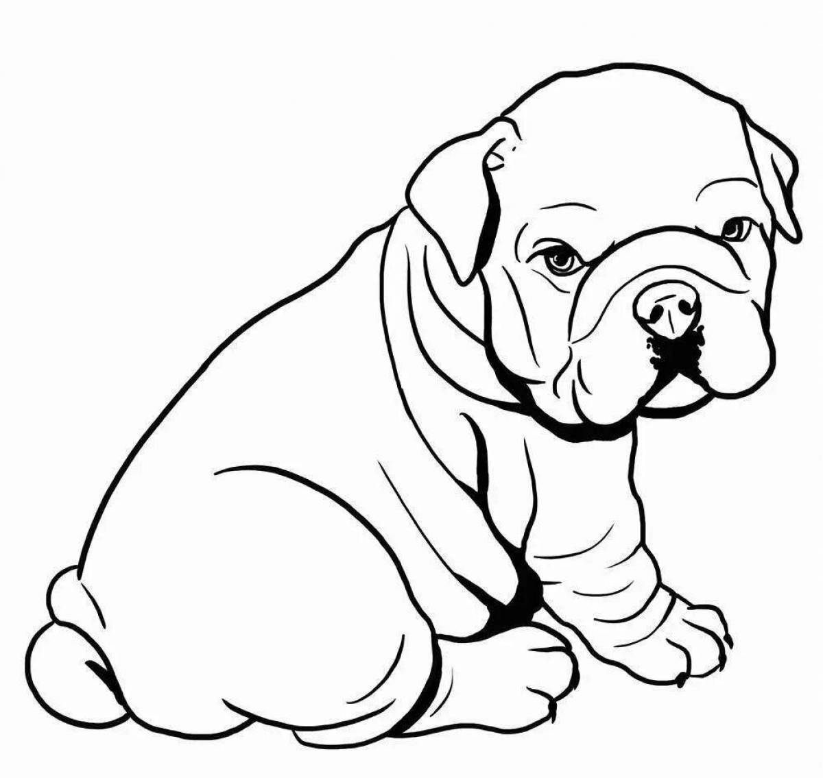 Wiggly bulldog coloring book for kids