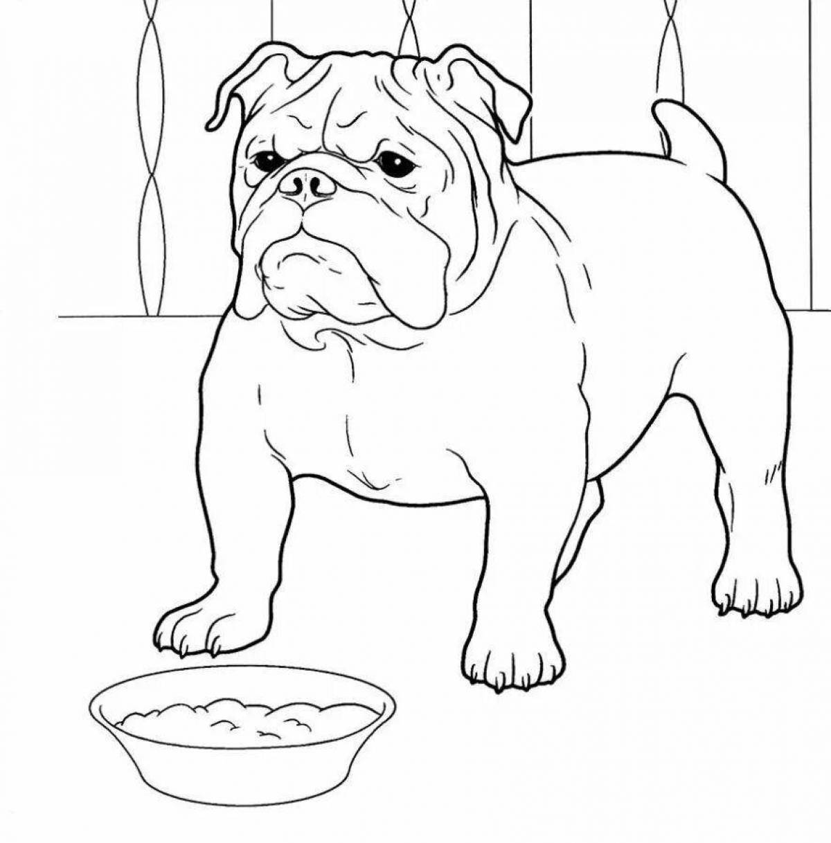 Affectionate bulldog coloring pages for kids