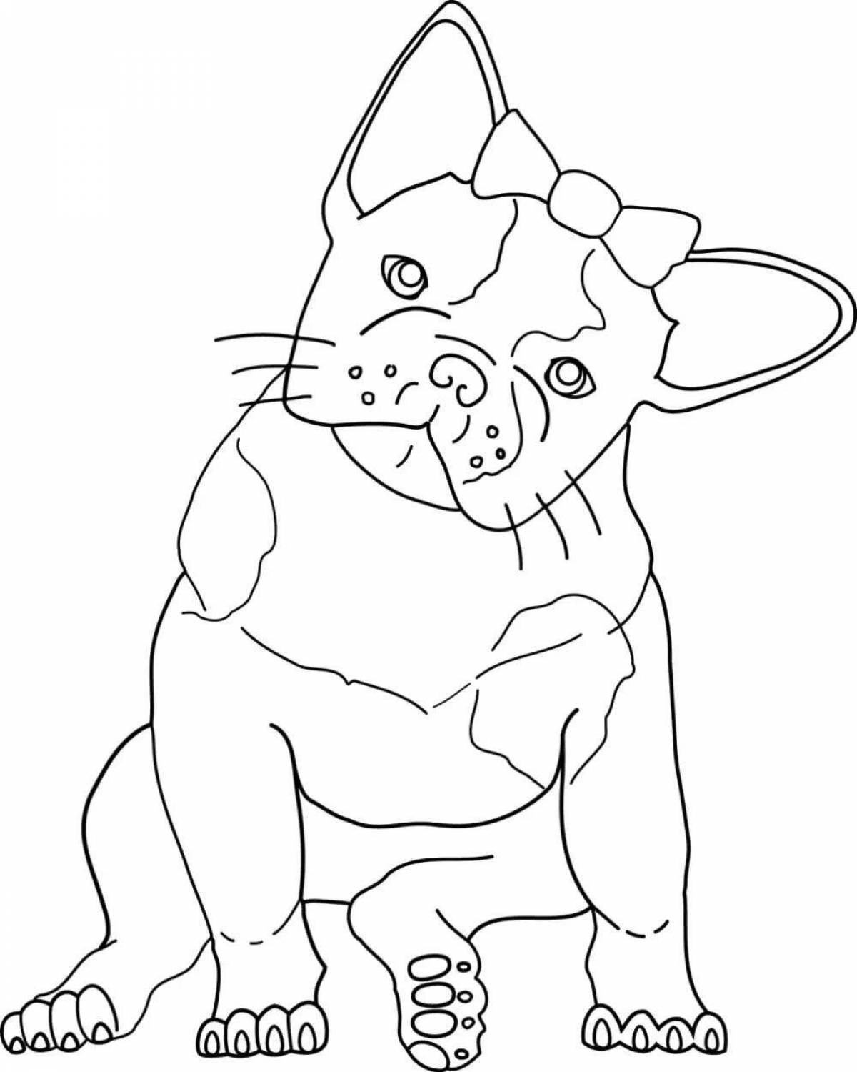 Fat bulldog coloring book for kids