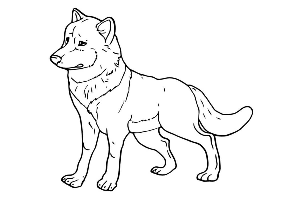 Adorable polar wolf coloring book for kids