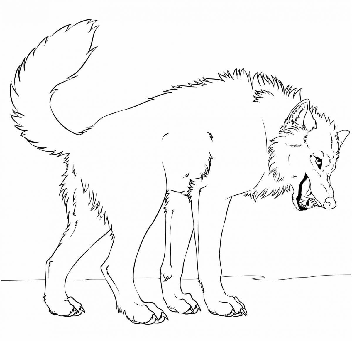 Great polar wolf coloring book for kids