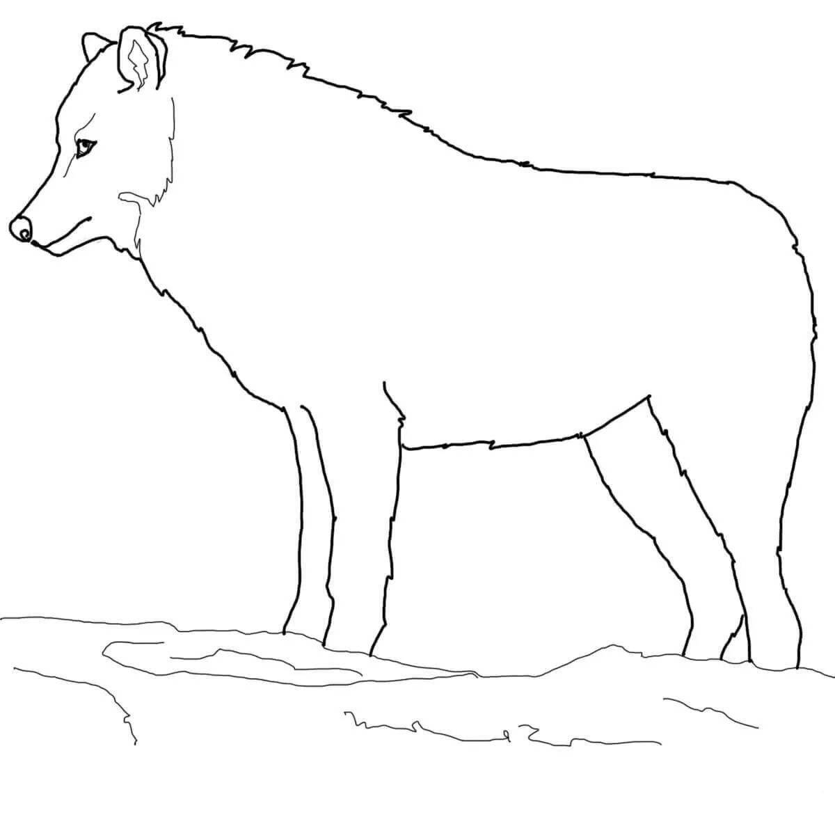 Впечатляющая раскраска полярного волка для детей