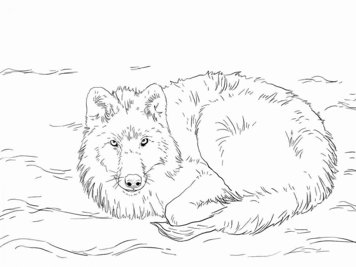 Glorious polar wolf coloring pages for children