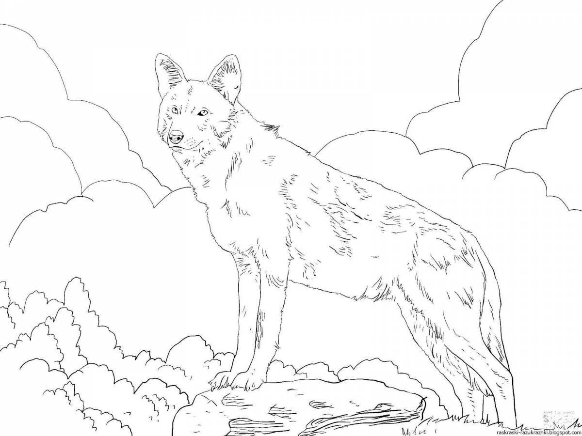 Cute polar wolf coloring pages for kids