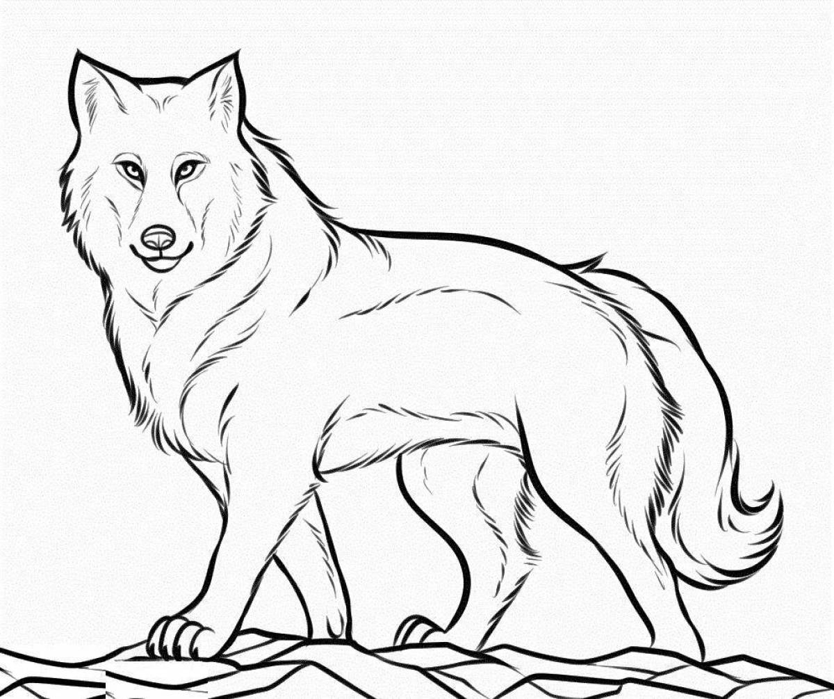 Adorable polar wolf coloring book for kids