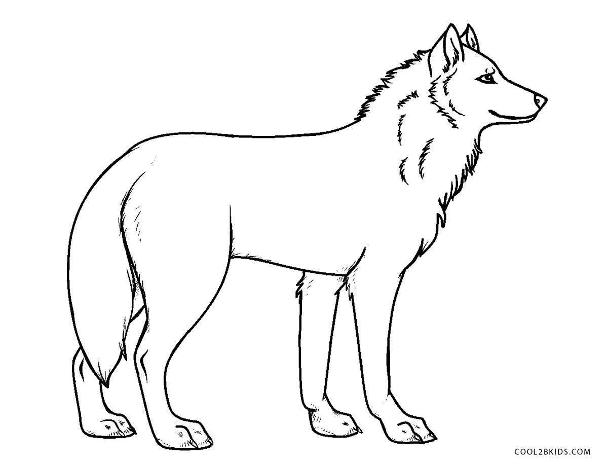 Раскраска царственный полярный волк для детей