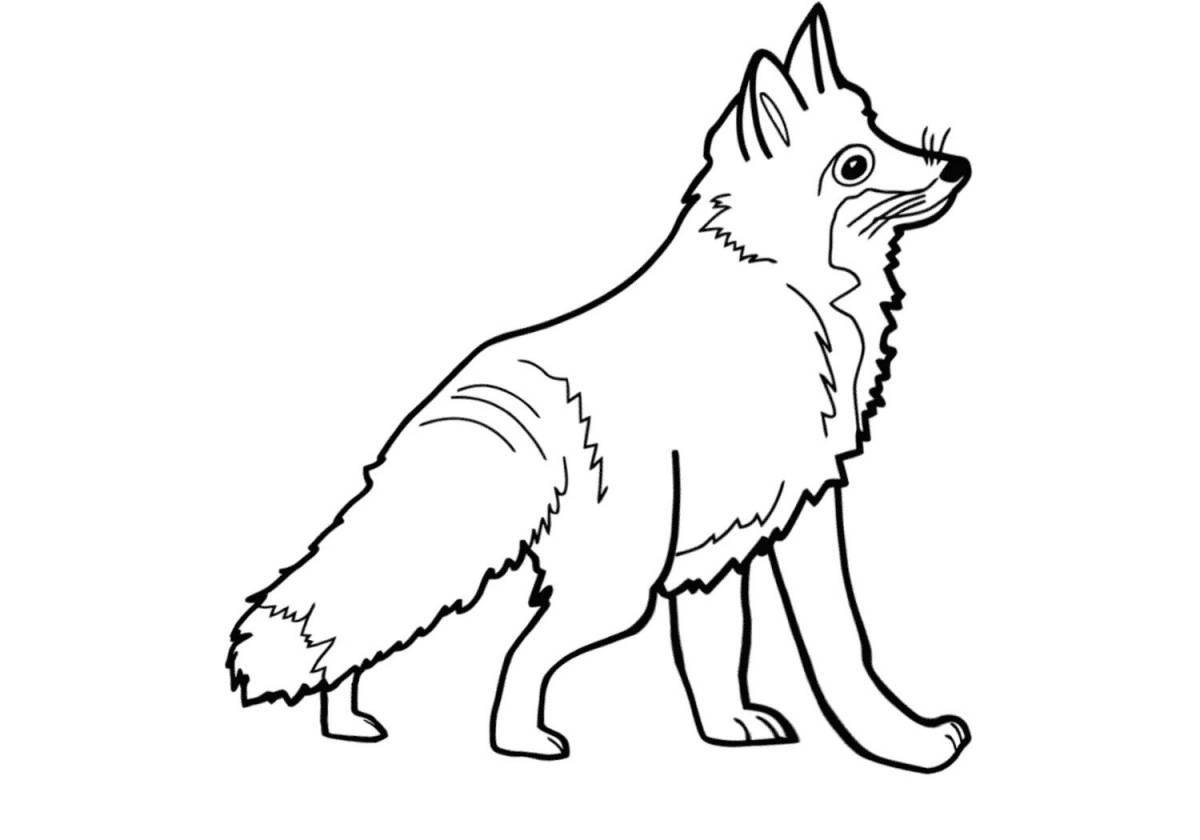 Coloring book exotic polar wolf for kids