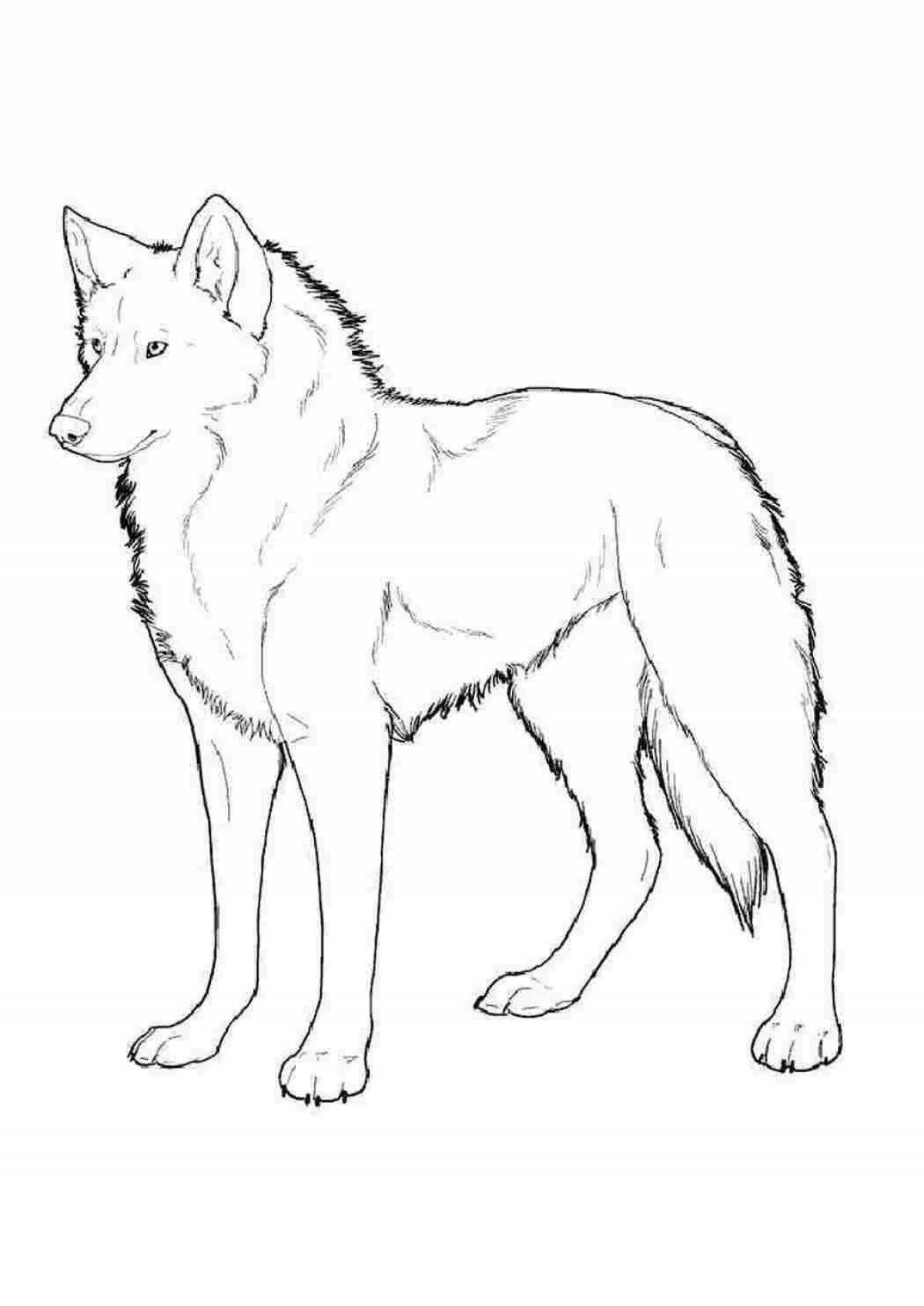 Gorgeous polar wolf coloring book for kids