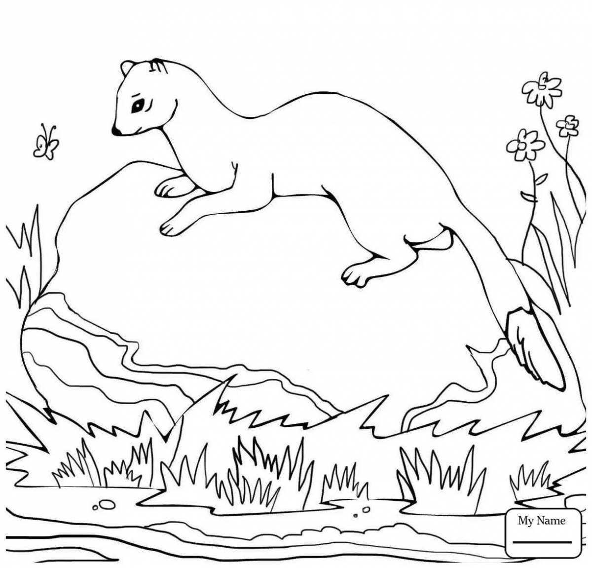 Playful stoat coloring page for kids