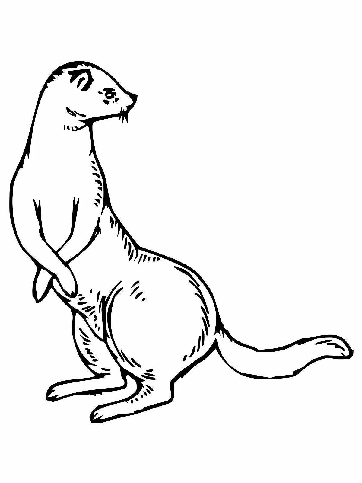 Fancy stoat coloring for kids