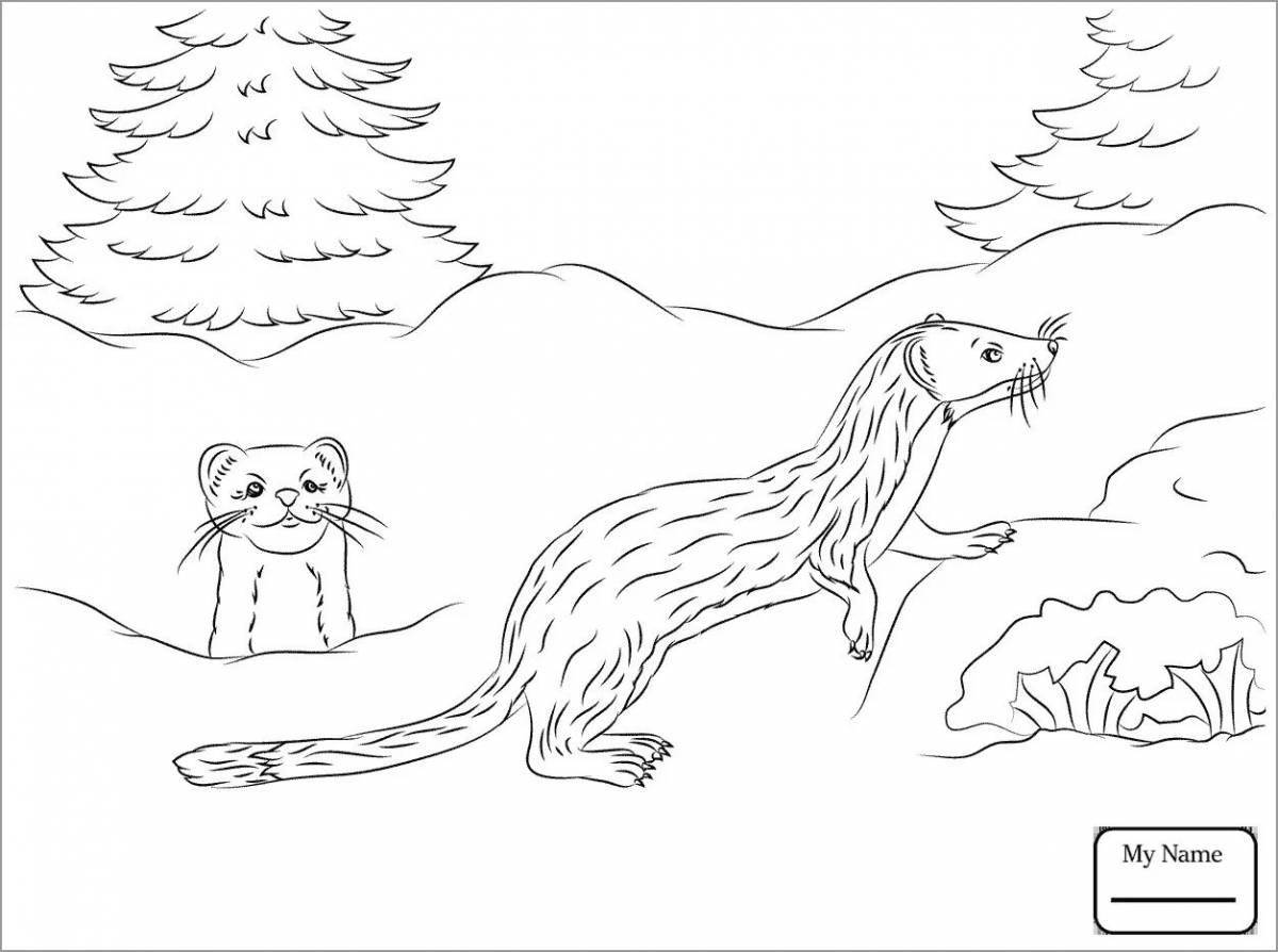 Adorable ermine coloring book for kids