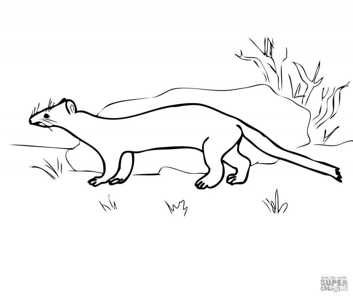 Colorful stoat coloring page for kids