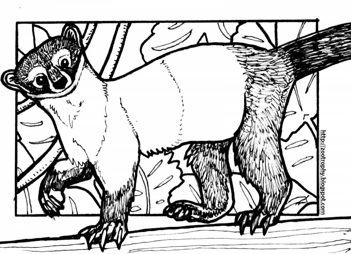 Coloring book for children