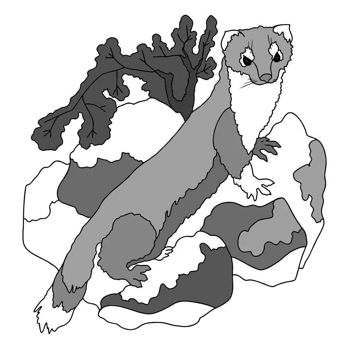 Nice ermine coloring book for kids