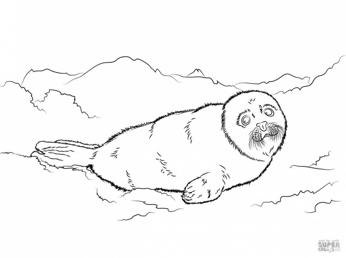 Colorful baikal seal coloring page for kids