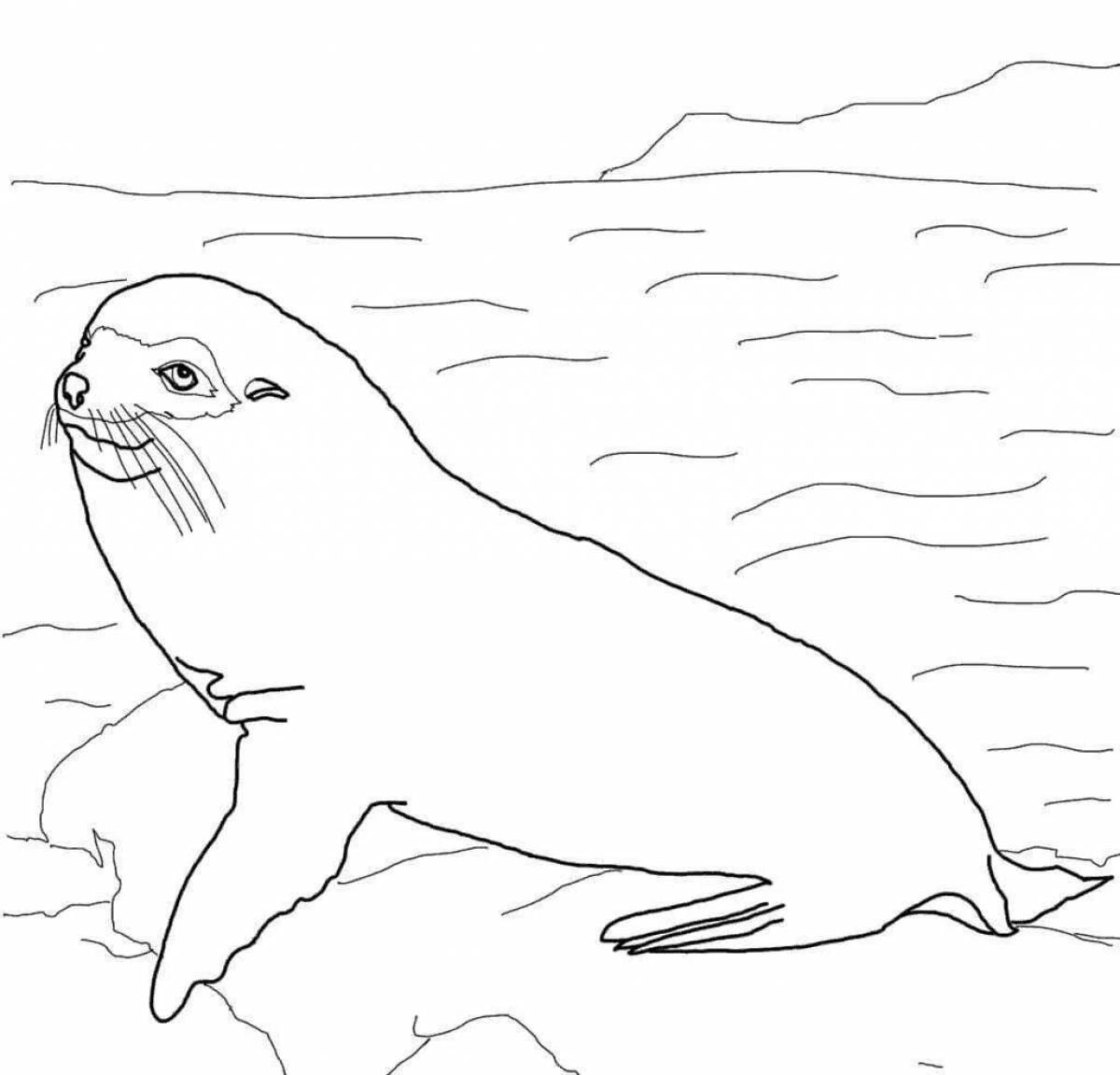 Игривая страница раскраски байкальского тюленя для детей