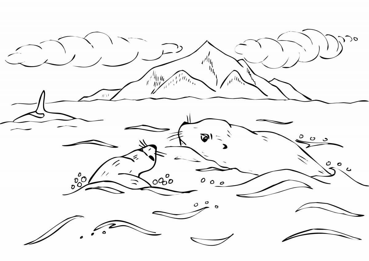 Baikal seal for children #5