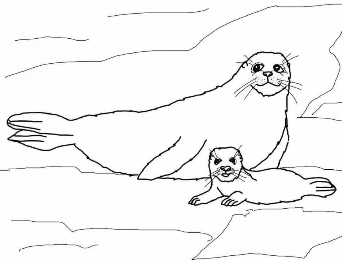 Baikal seal for children #11