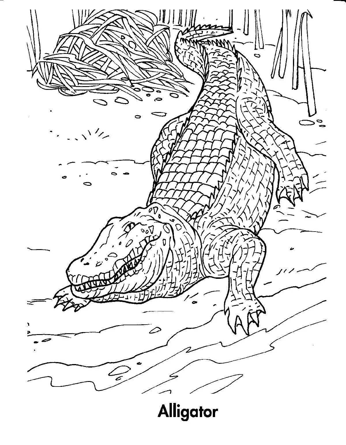 Crocodile drawing for kids #14