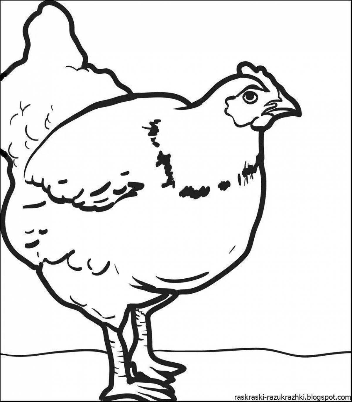 Fun coloring book with chicken for kids