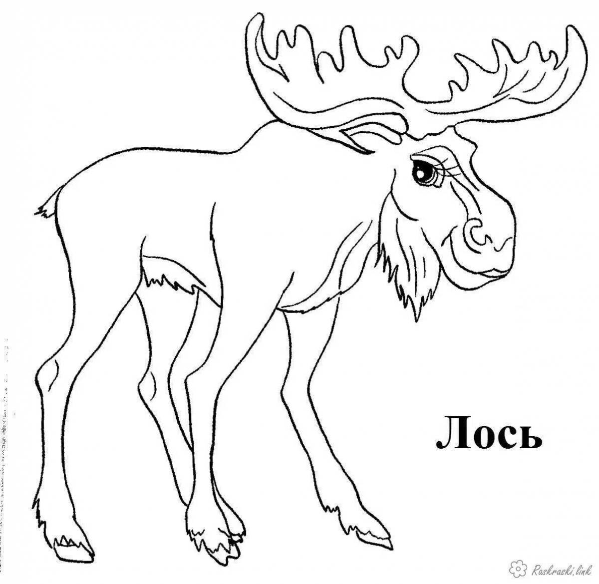 Amazing coloring pages animals of the Red Book of Kuzbass