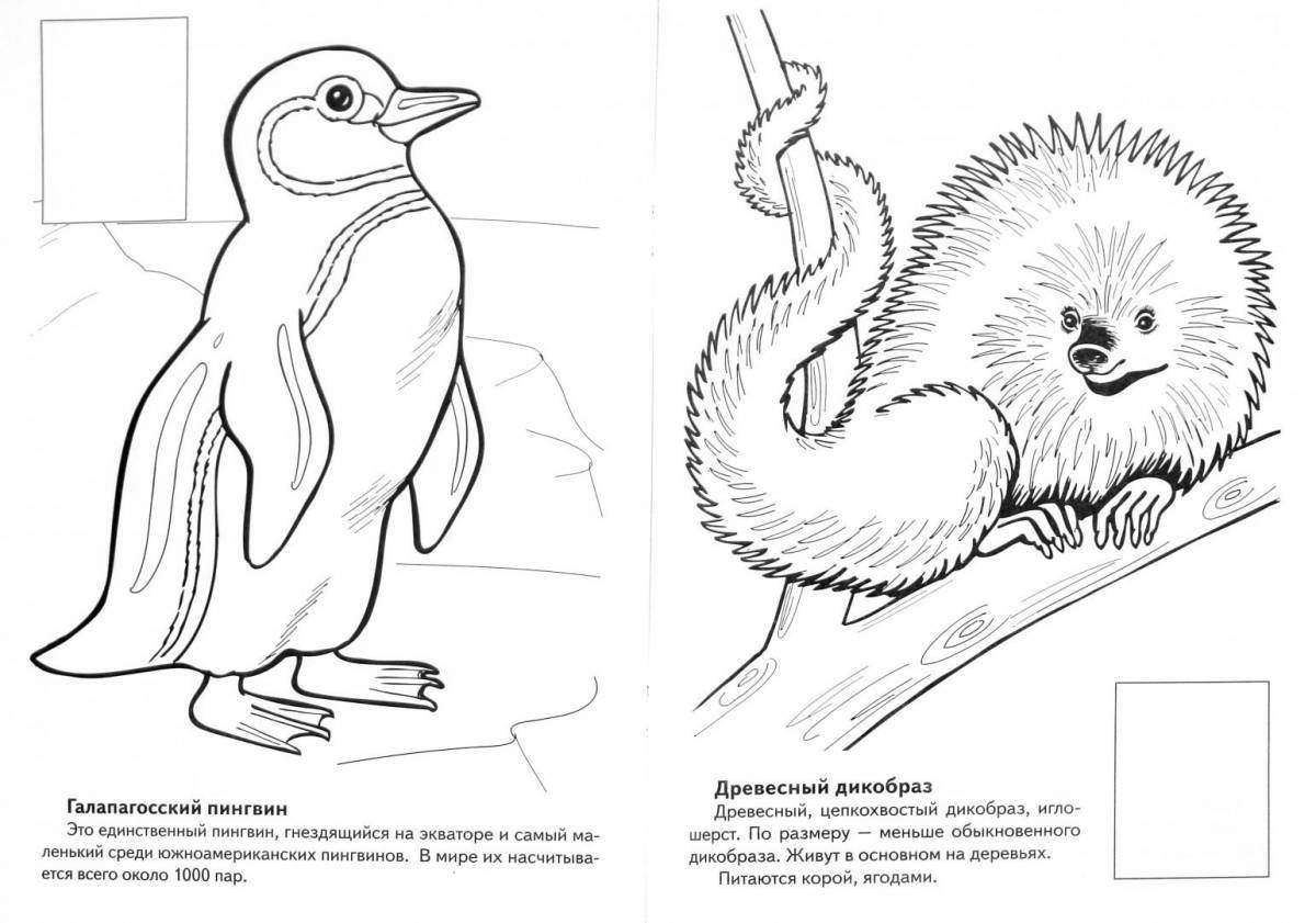 Удивительные раскраски животные красной книги кузбасса