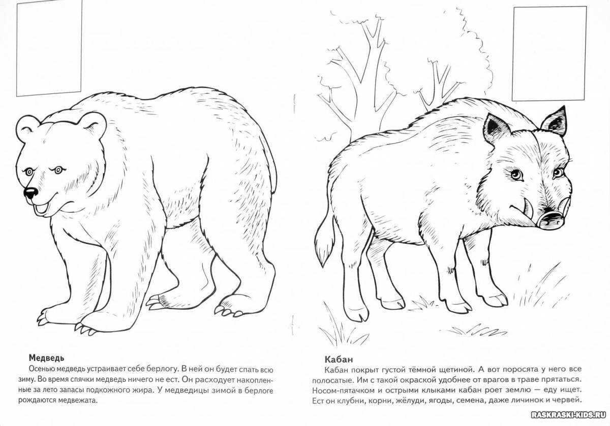 Impressive coloring animals of the Red Book of Kuzbass