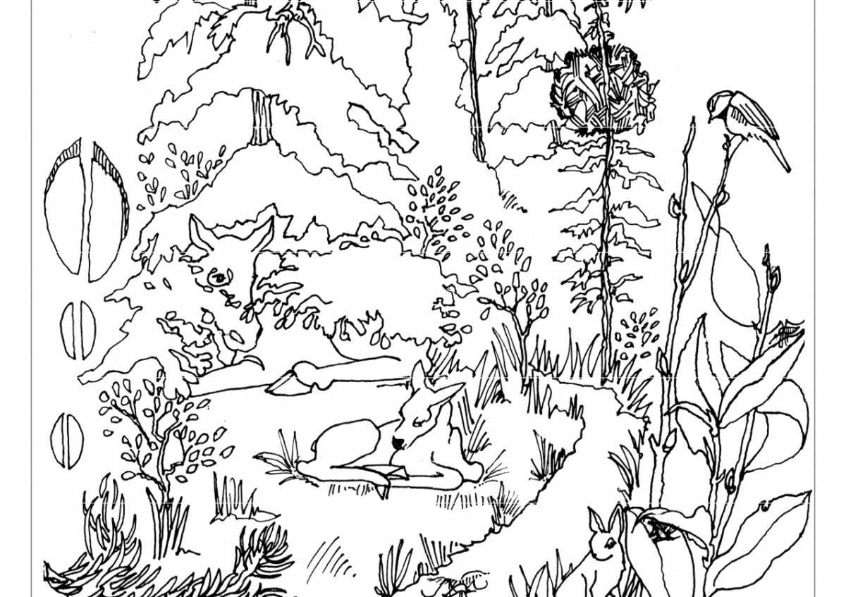 Волшебная раскраска неживой природы для детей