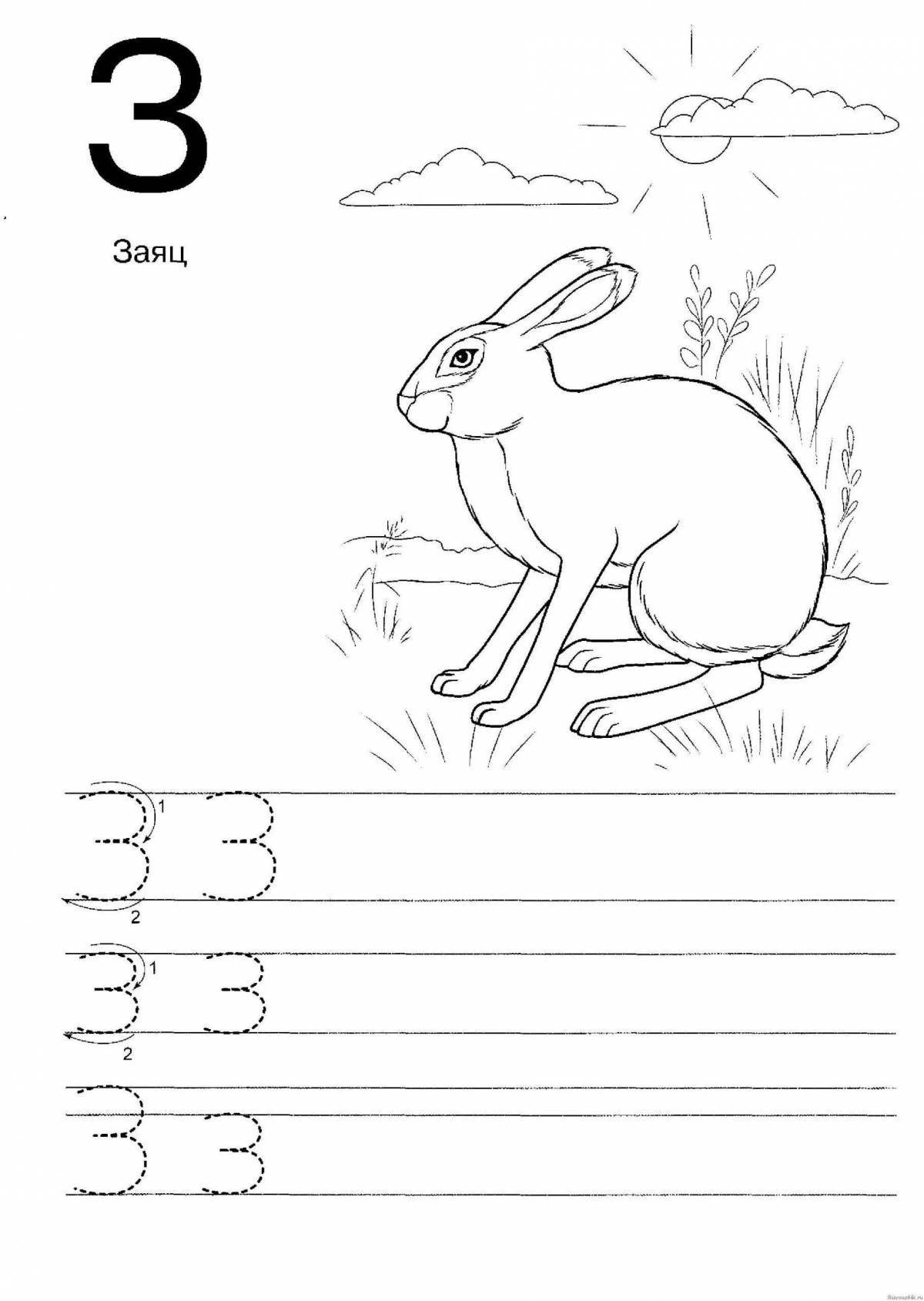 Exciting letter z coloring book