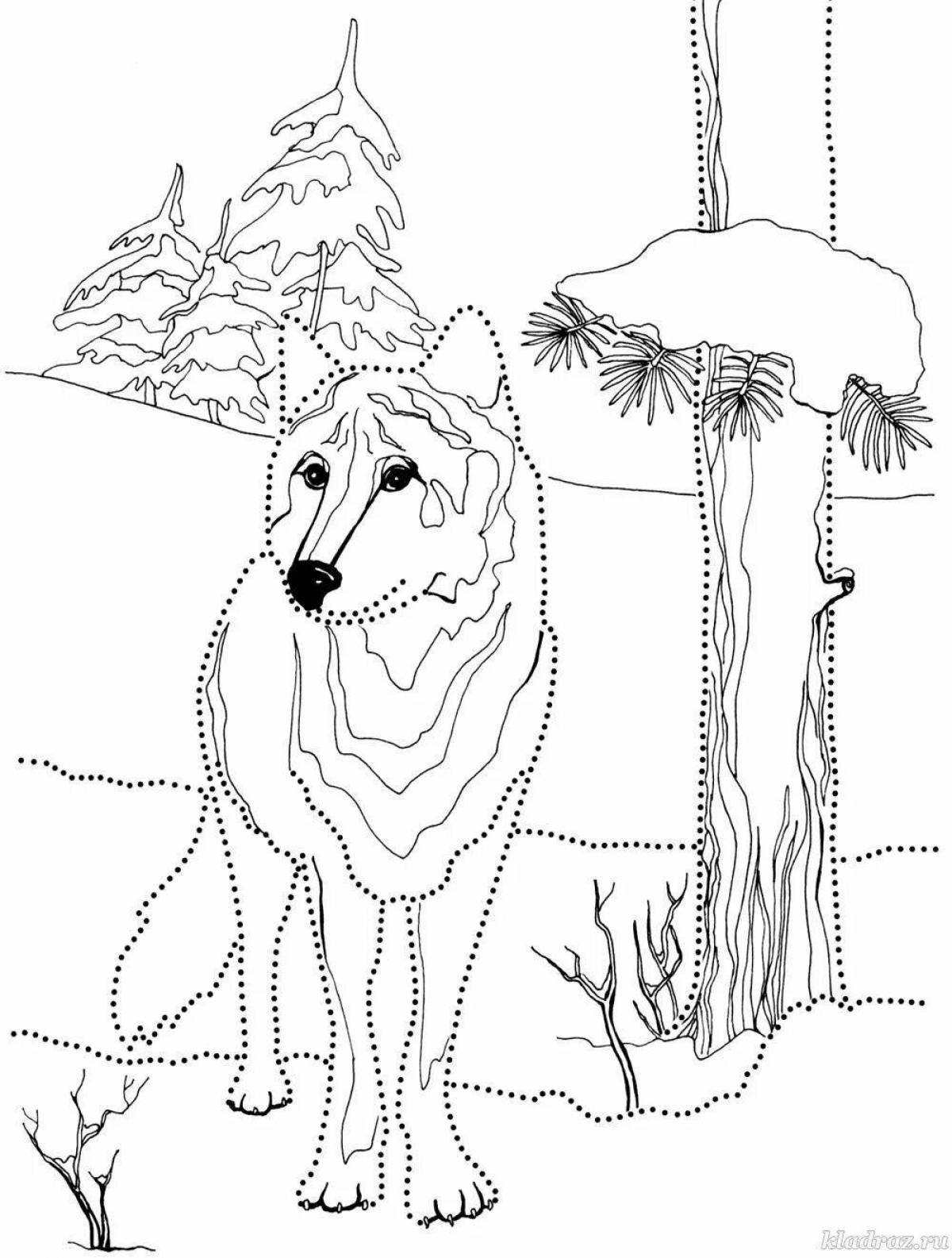 Colourful winter animals coloring pages for kids