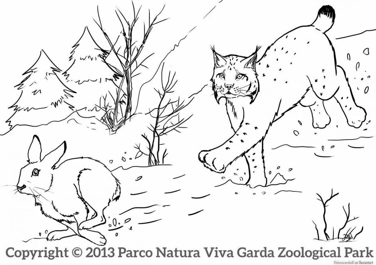 Amazing winter animals coloring pages for kids