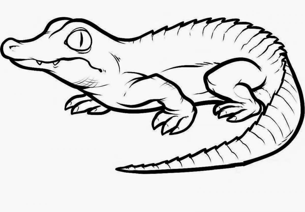Крокодил картинка для детей раскраска