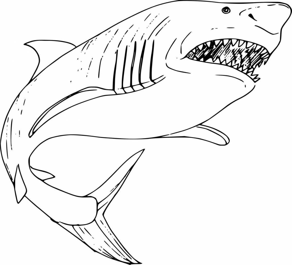 Милая акула-раскраска для детей