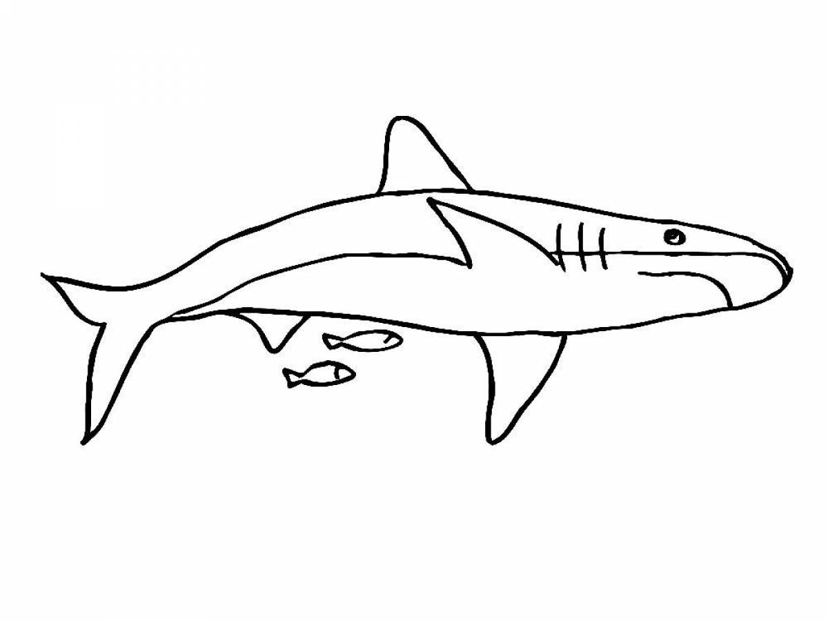 Shark for kids #4