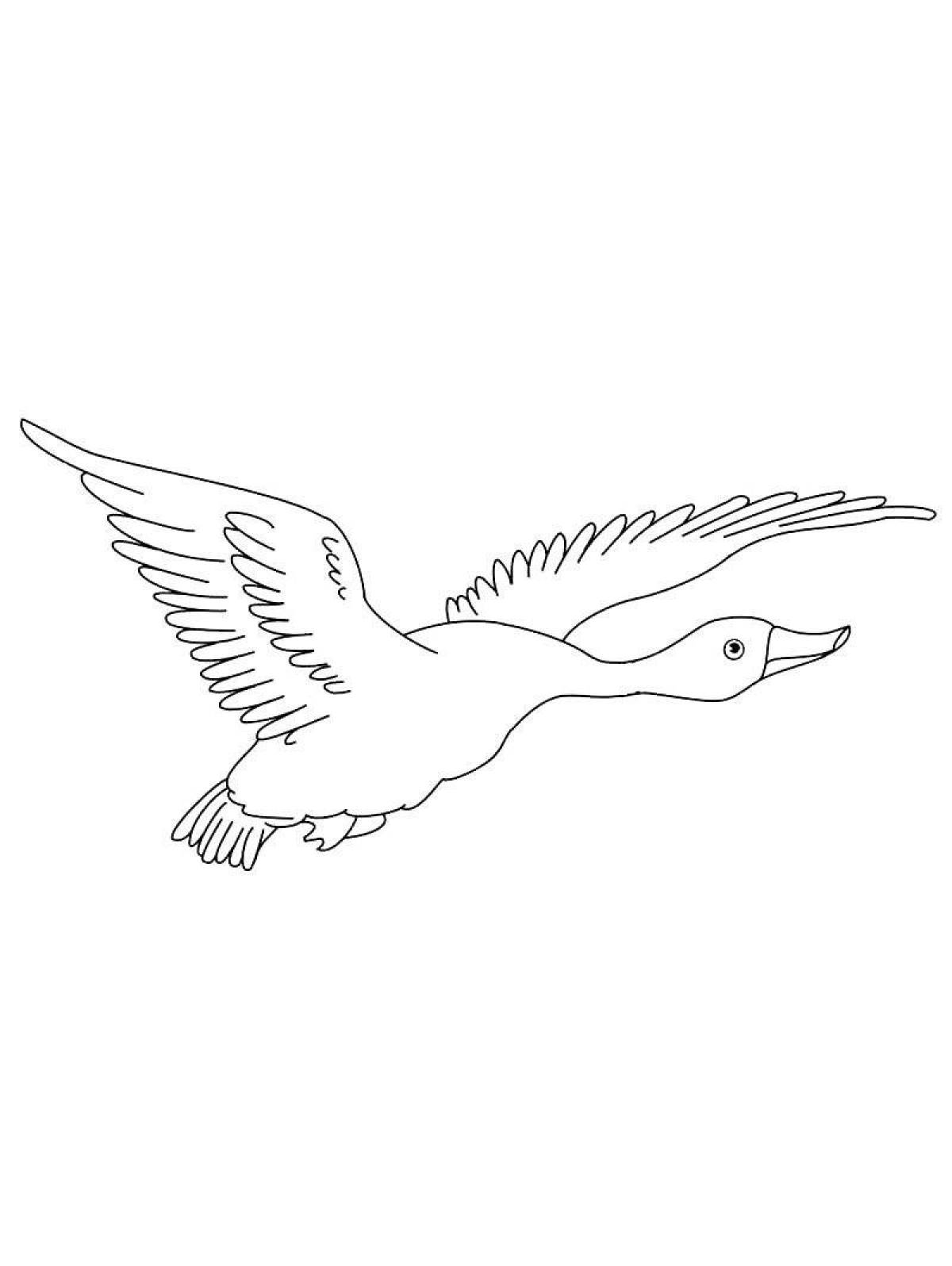 Swan geese coloring page