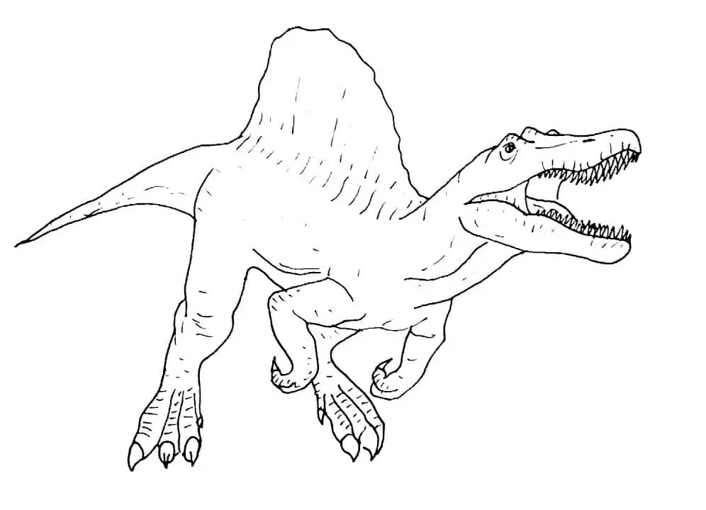 Generous spinosaurus coloring page