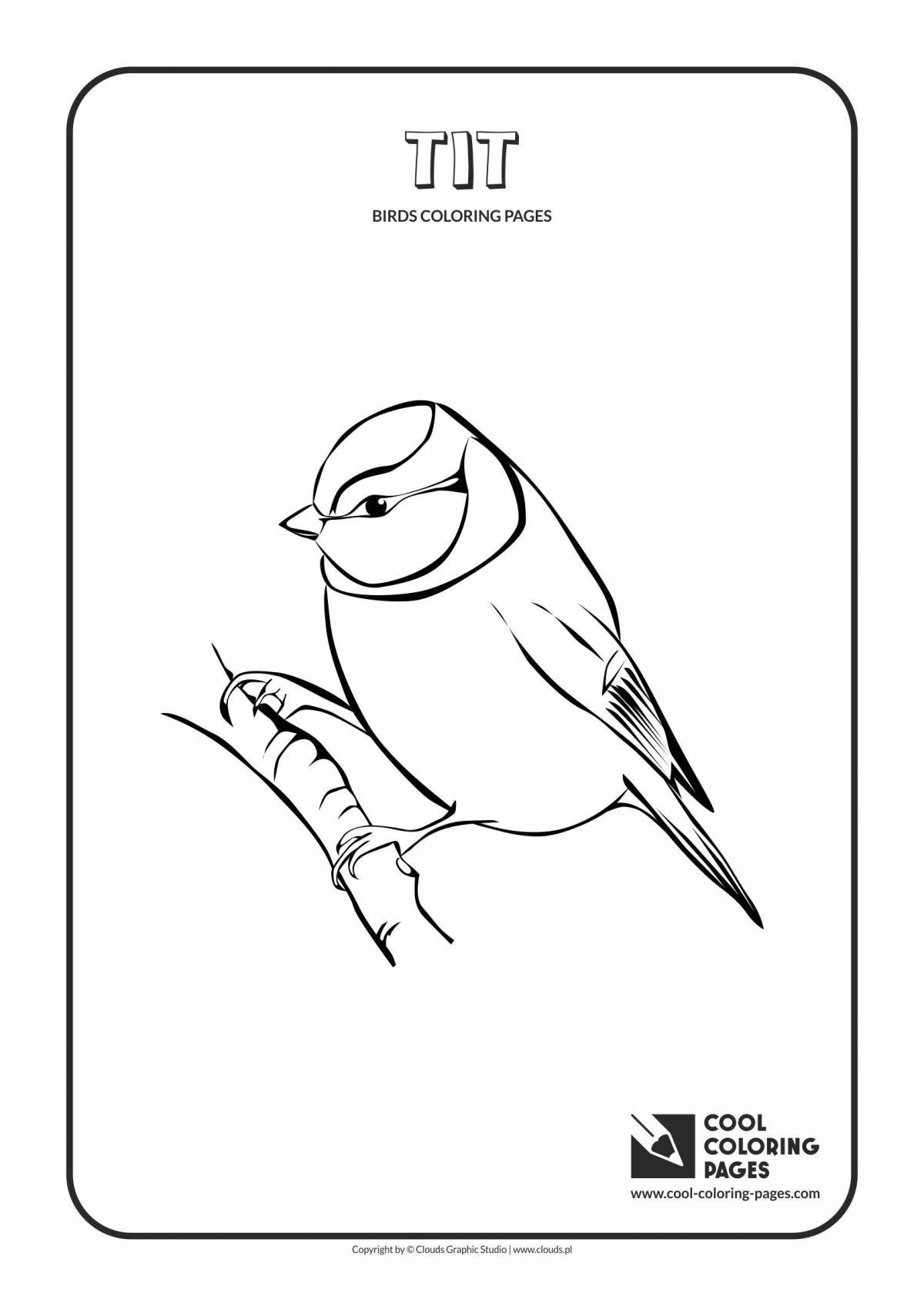 Great tit coloring for juniors