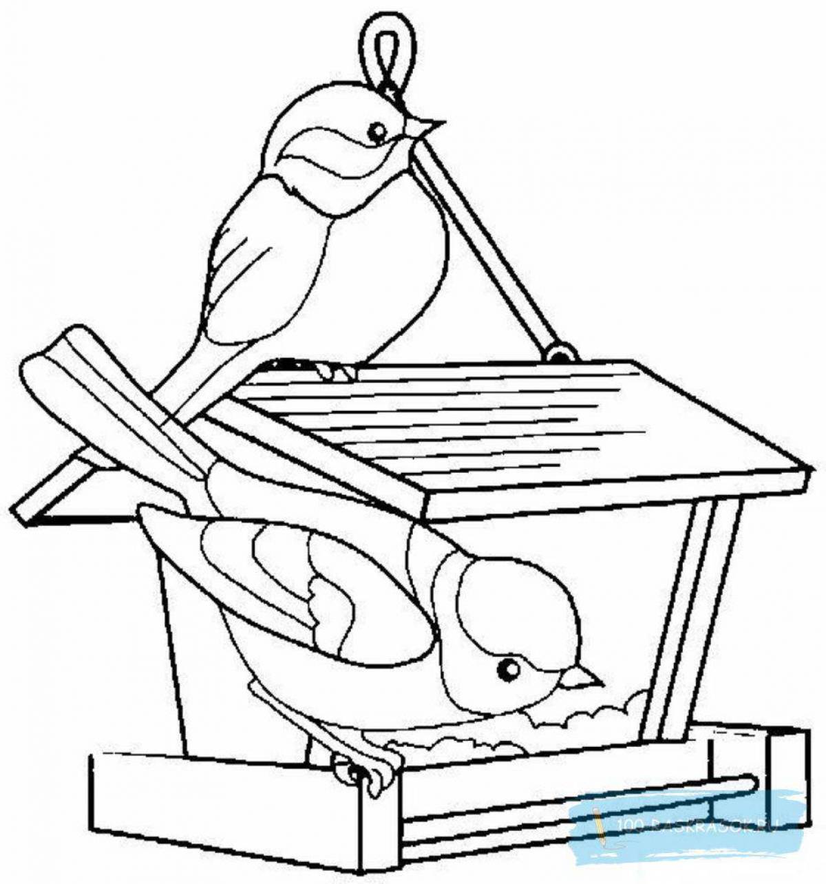Coloring book shining tit for babies
