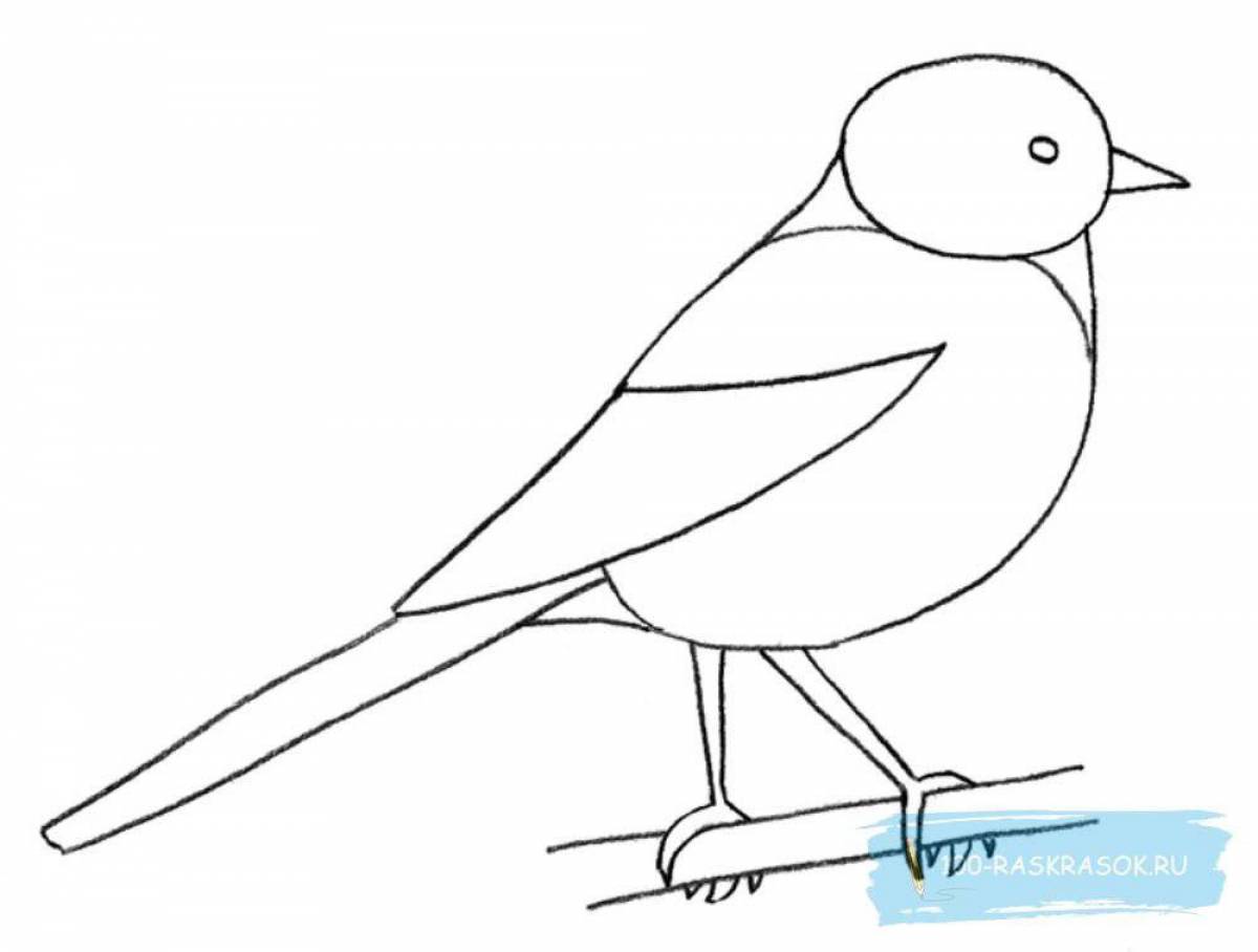 Awesome tit coloring page for students