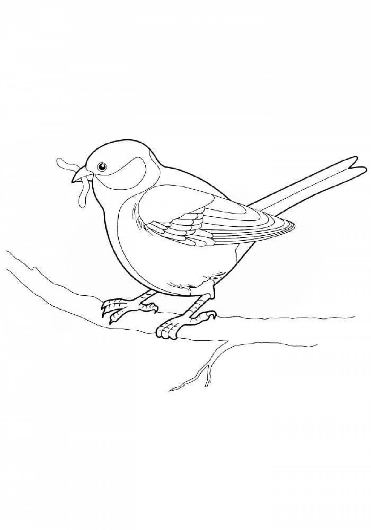 Live tit coloring for kids