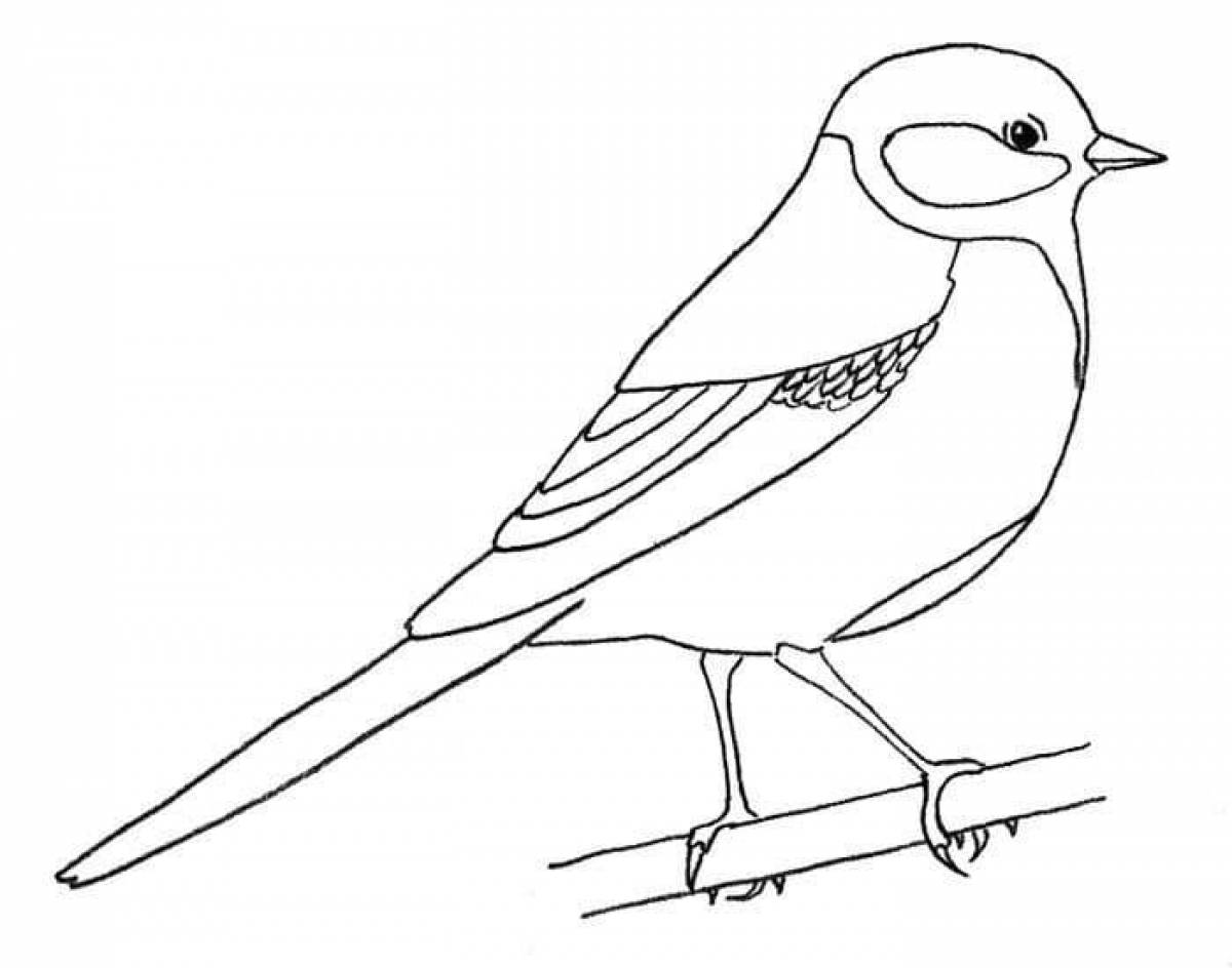 Exquisite tit coloring book for kids