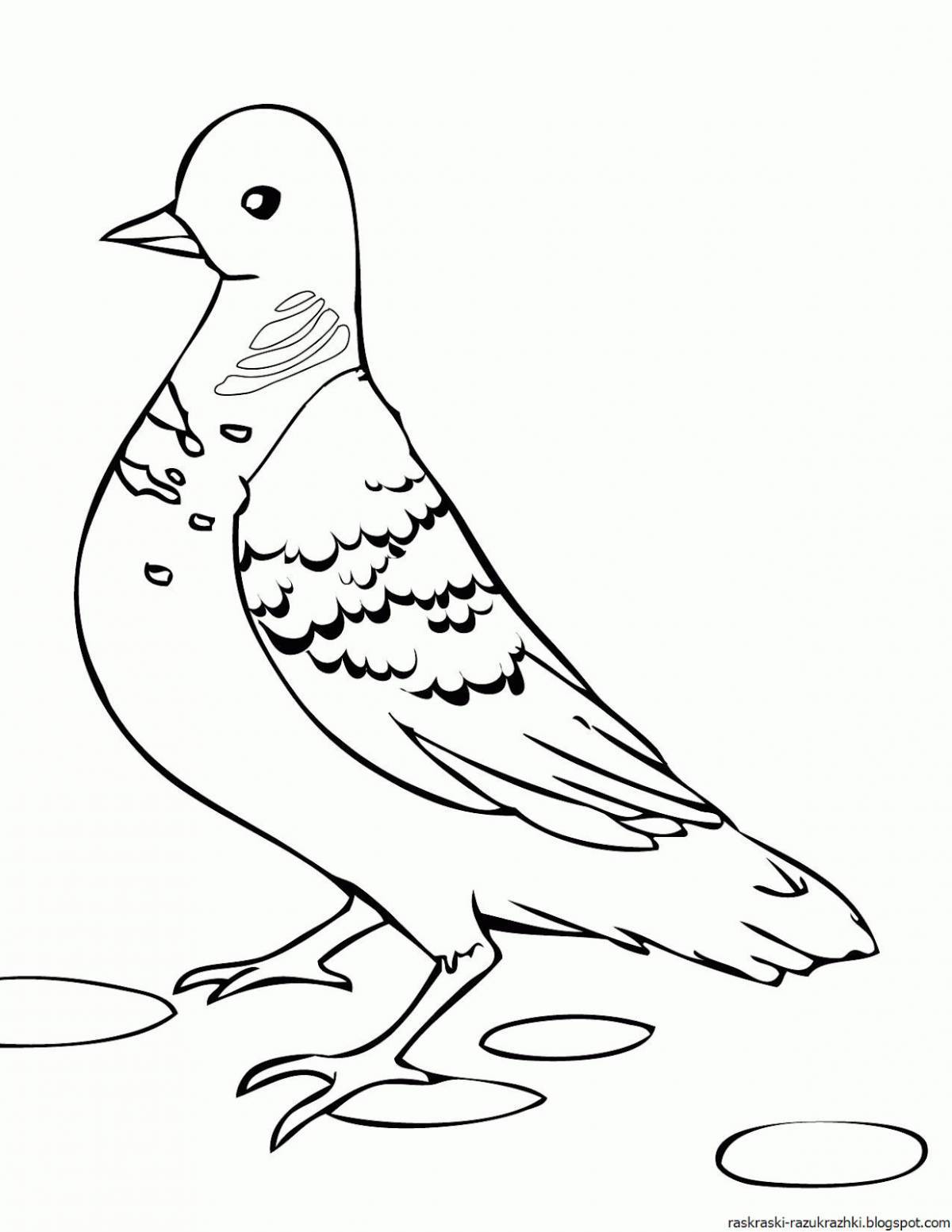 Colorful pigeon coloring page for kids