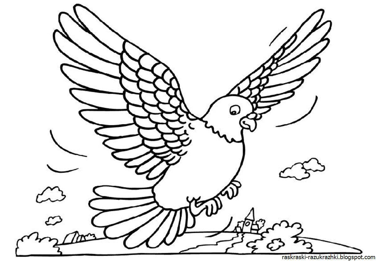 Coloring dove for children
