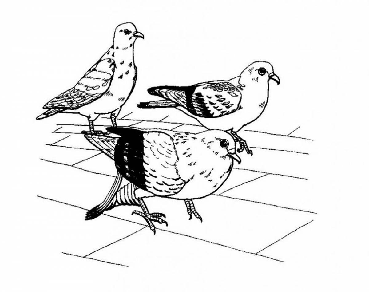 Adorable dove coloring page for kids