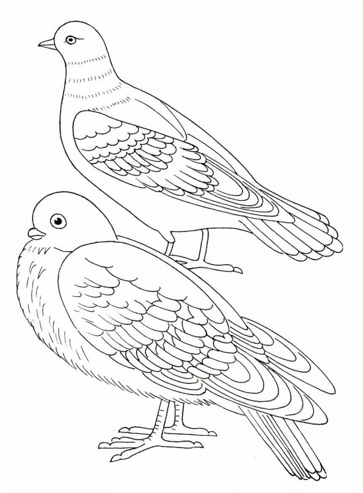Glamorous dove coloring page for kids