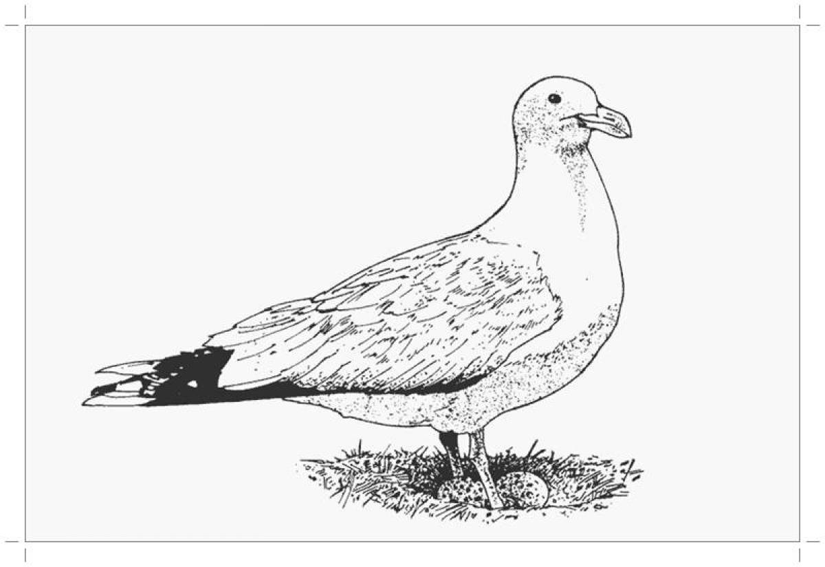 Perfect dove coloring page for kids