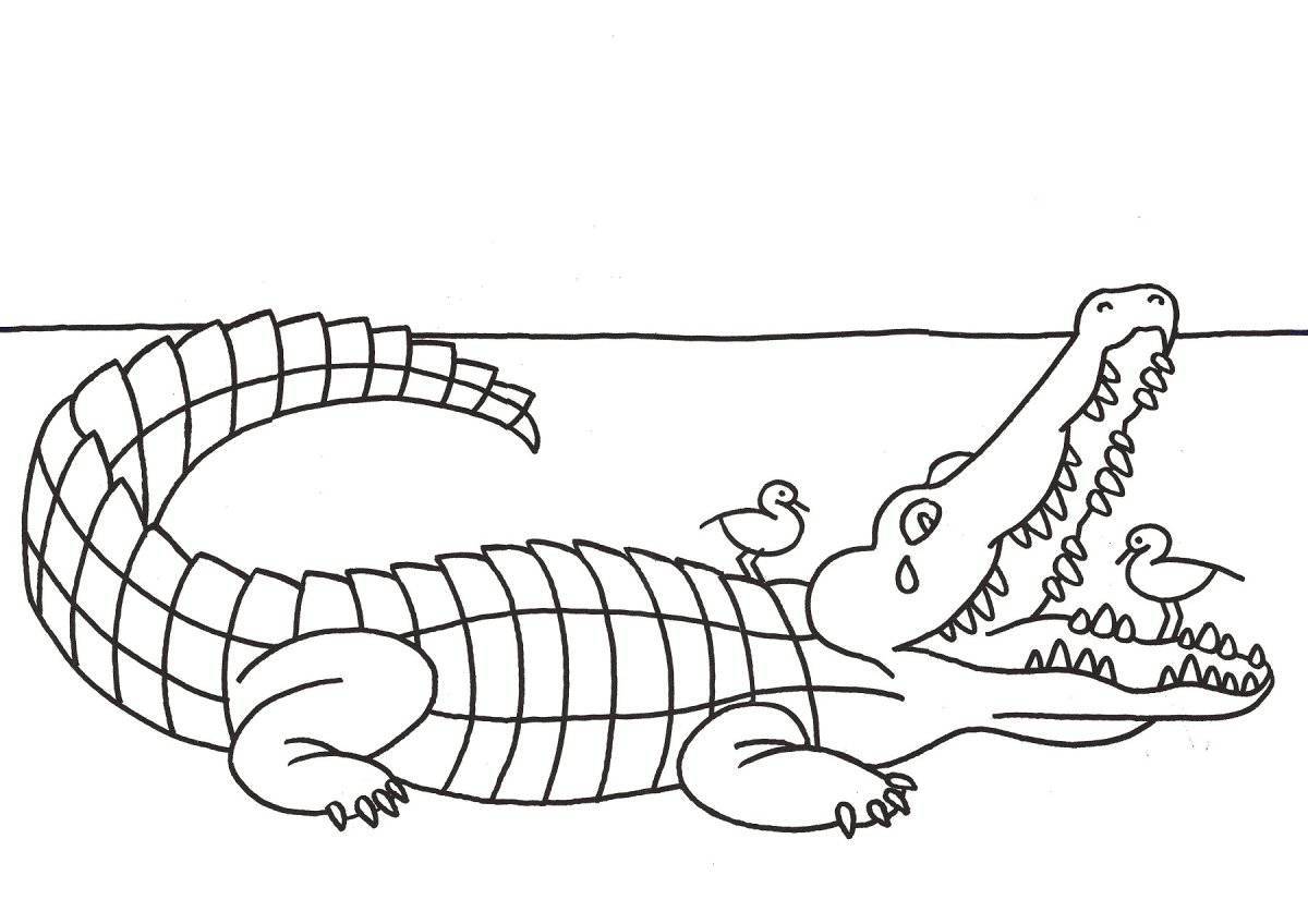 Великолепная раскраска крокодил для детей