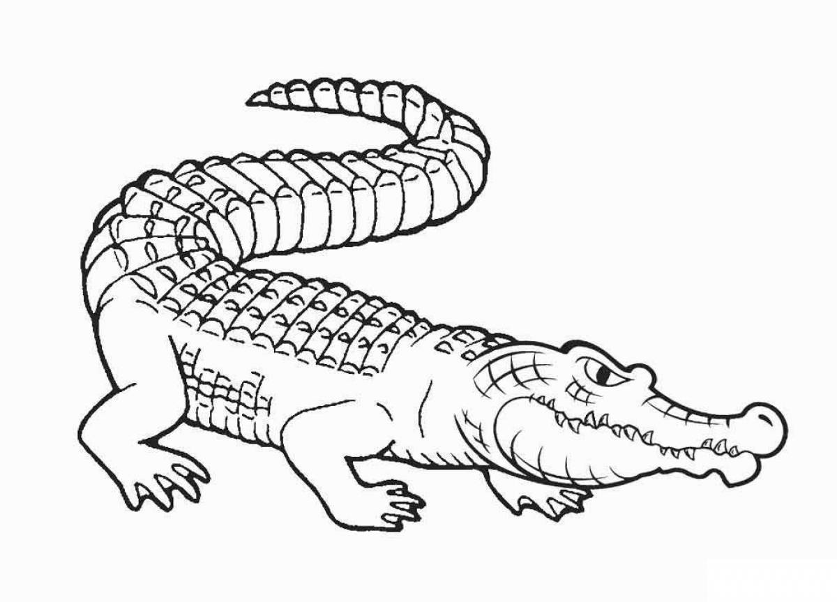 Colorful crocodile coloring book for kids