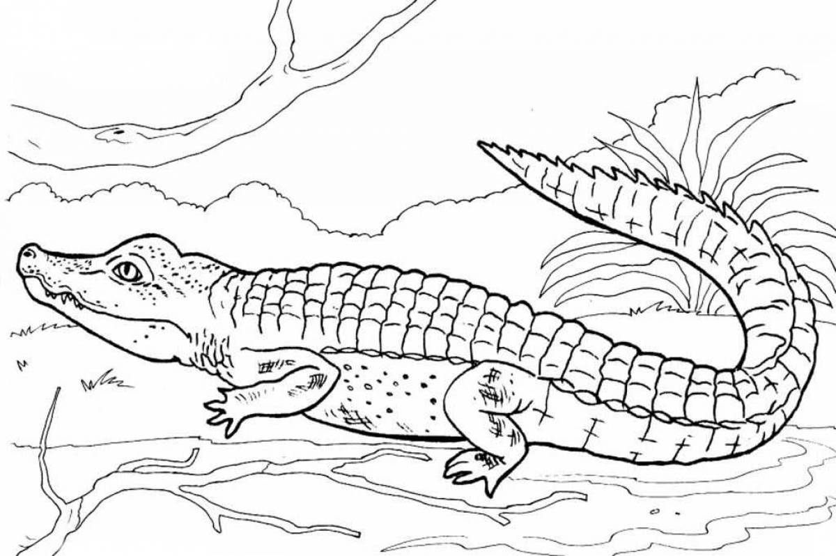 Crocodile for kids #4